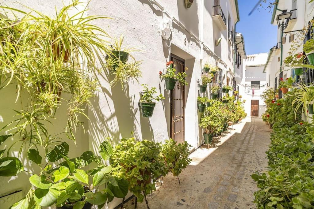 Casa Con Patio Y Terraza En Barrio Historico De La Villa, Junto Al Adarve Priego de Córdoba Kültér fotó